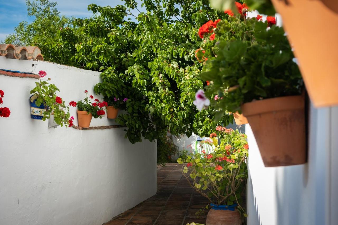 Hostal Cabo Roche Conil De La Frontera Exterior foto